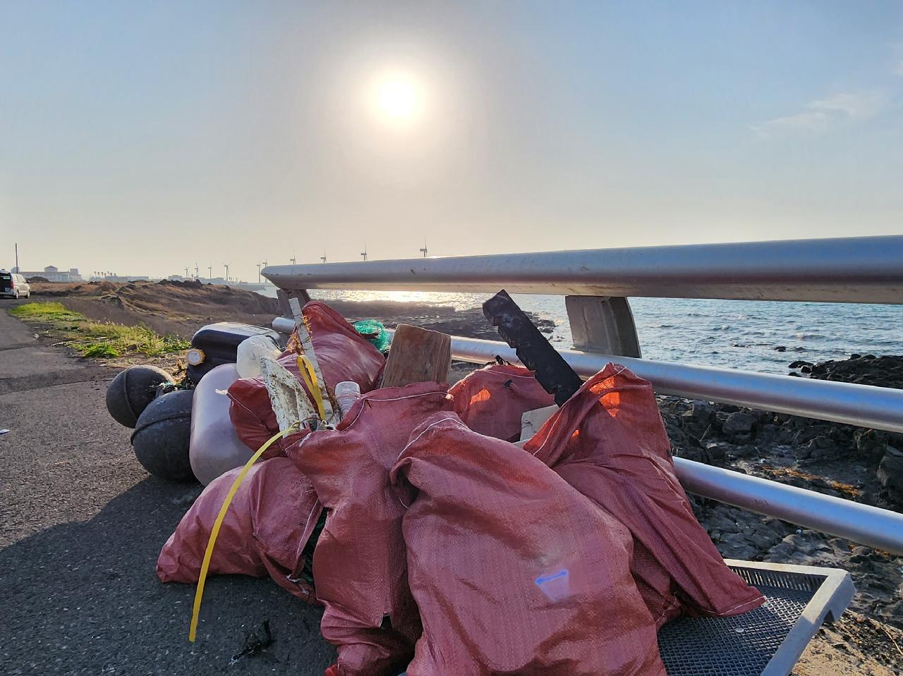 제주도 판포포구 해양정화활동