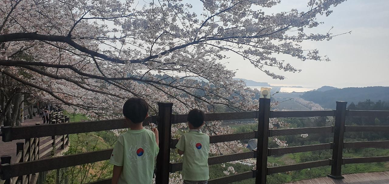 가족 모임 단 1장도 가능! 소량 커스텀으로 부담 없이 만든 가족티